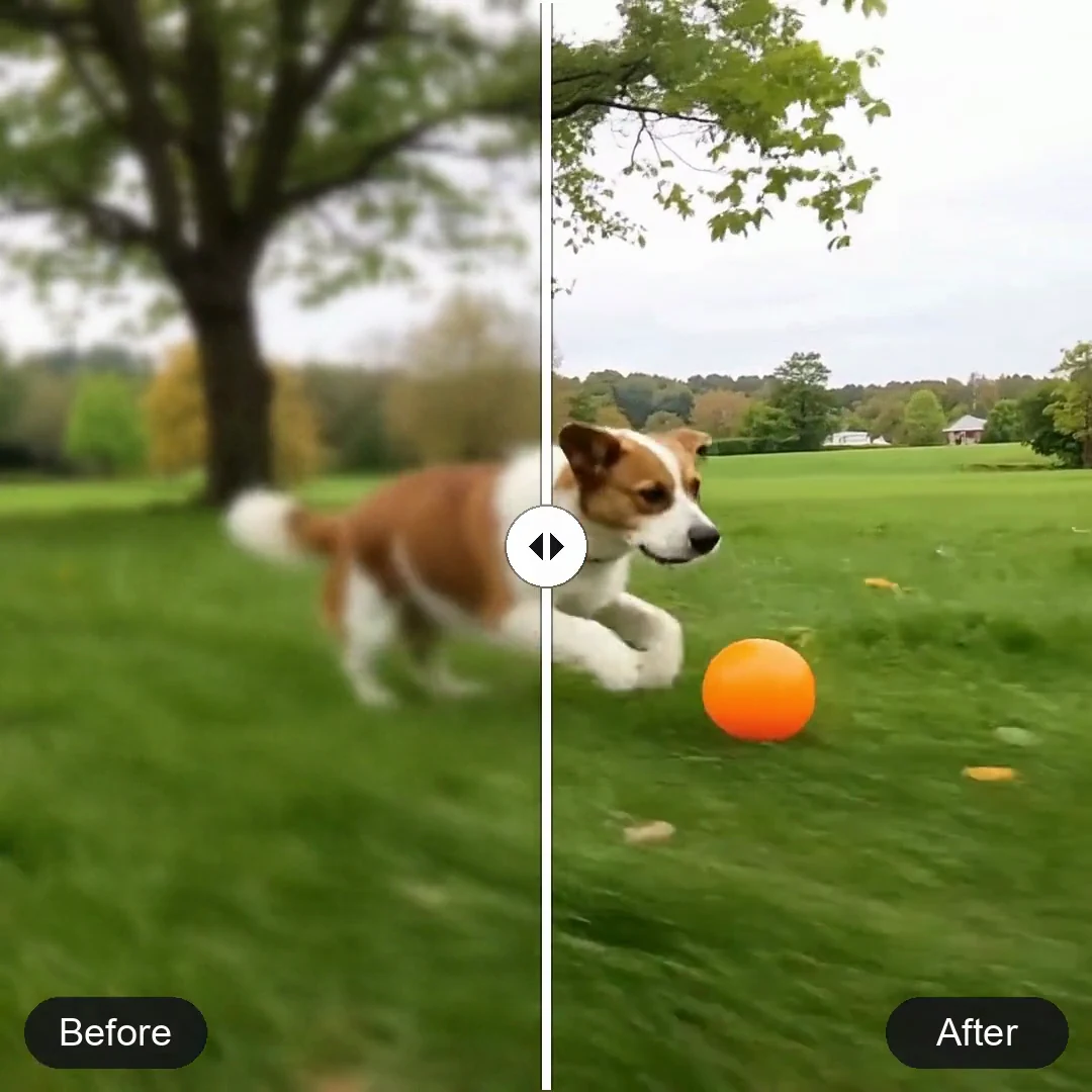 Ein Hund jagt einen Ball auf einer Wiese — Illustratives Beispiel: Unschärfe und Klarheit im Vergleich.